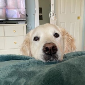 Meet your Posher, Sharon